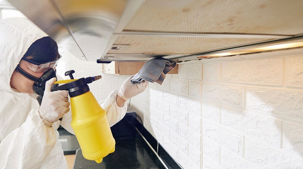 Chemical washing and surface restoration by Facility Plus