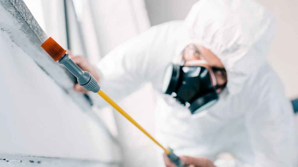 Pest control service by Facility Plus